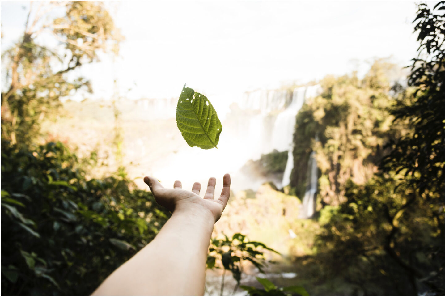 Bildschirmfoto 2023-05-22 um 13.27.07